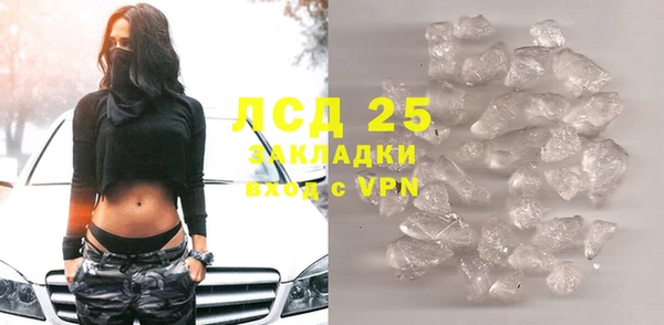 индика Алексин