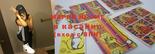 индика Алексин
