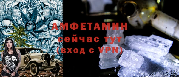 индика Алексин