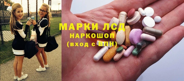 индика Алексин