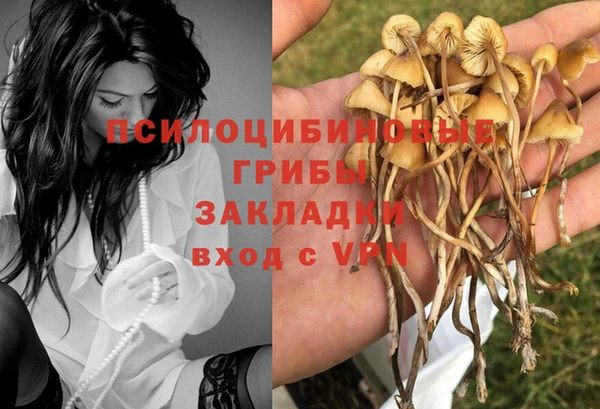 mdpv Алзамай