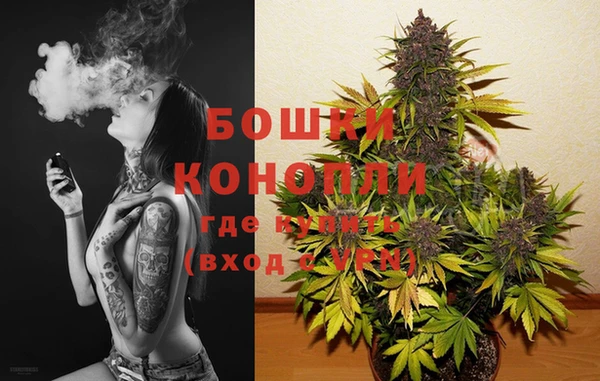 ПСИЛОЦИБИНОВЫЕ ГРИБЫ Протвино