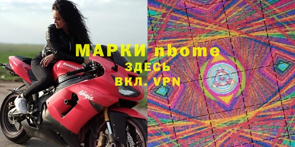 индика Алексин