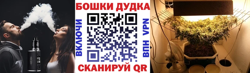 Марихуана THC 21%  Лахденпохья 
